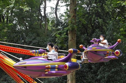 武漢全域降為低風險地區(qū)，中山公園游樂場恢復開放，軟件開發(fā)行業(yè)迎來新機遇
